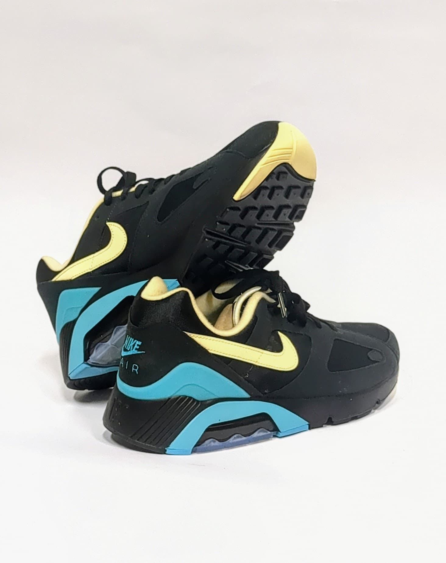 Dusty Cactus